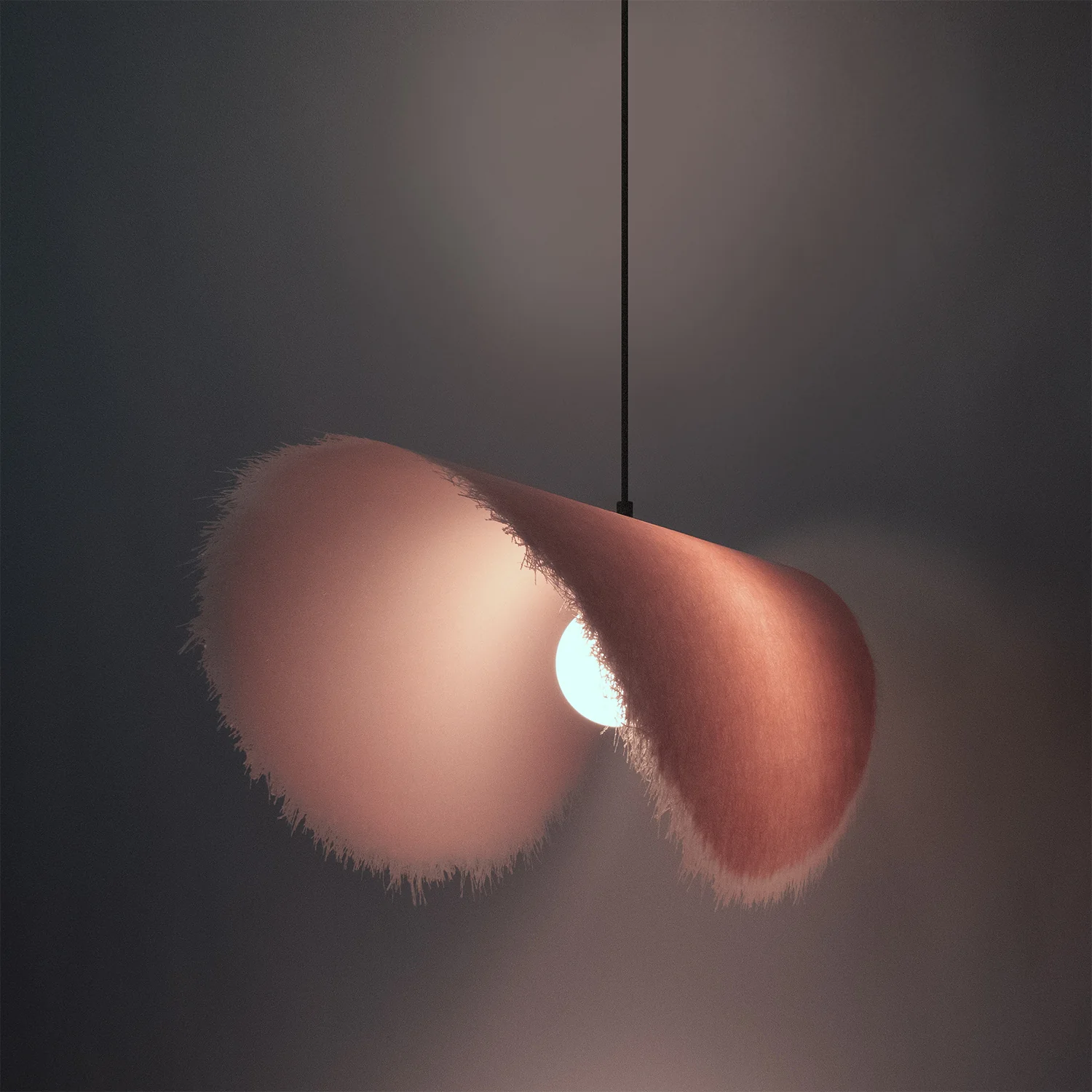 Lighting Collection